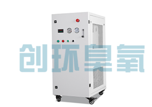 长安石斑鱼养殖水质调控完整指南：臭氧发生器配置与操作步骤
