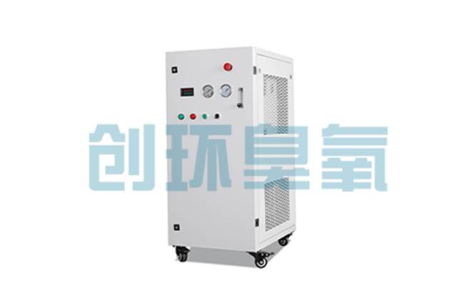 长安比传统换水更高效？臭氧发生器在石斑鱼养殖中的水质净化原理解析